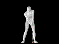 proani.gif (51419 octets)