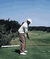 swingtiger.gif (106342 octets)